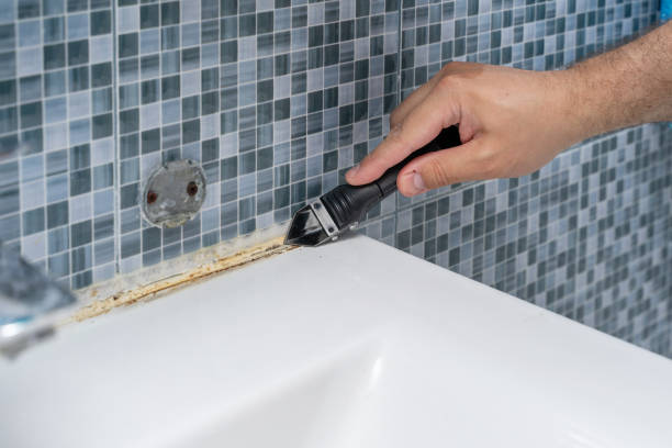Greensburg, KY Mold Removal Company