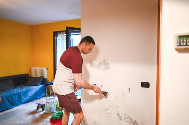Best Crawl Space Mold Removal  in Greensburg, KY